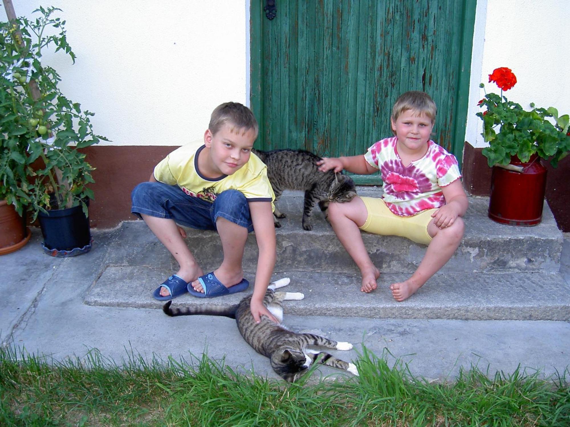 Urlaub Am Bauernhof Wenigeder - Familie Klopf Villa Gutau Kültér fotó