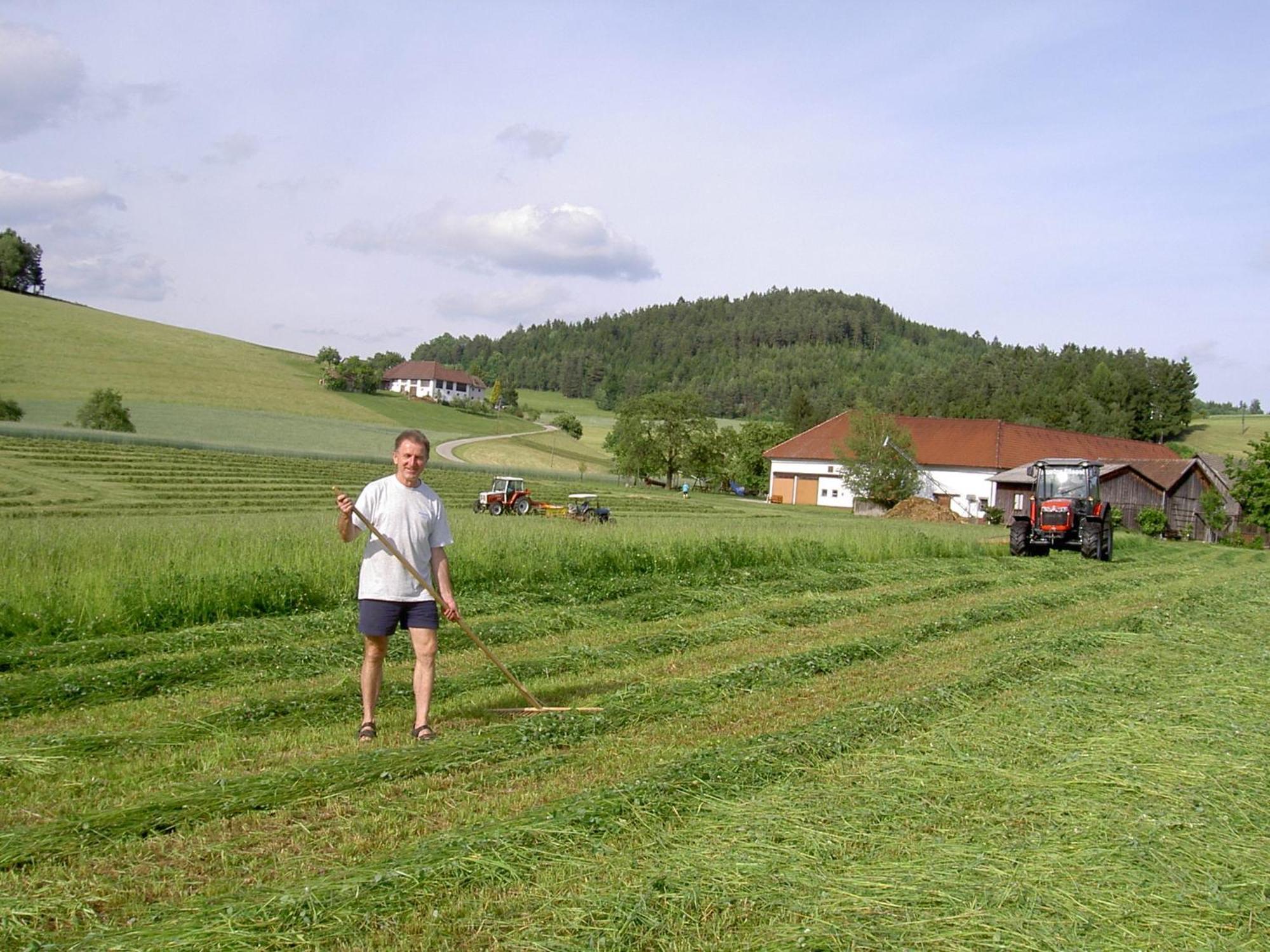 Urlaub Am Bauernhof Wenigeder - Familie Klopf Villa Gutau Kültér fotó