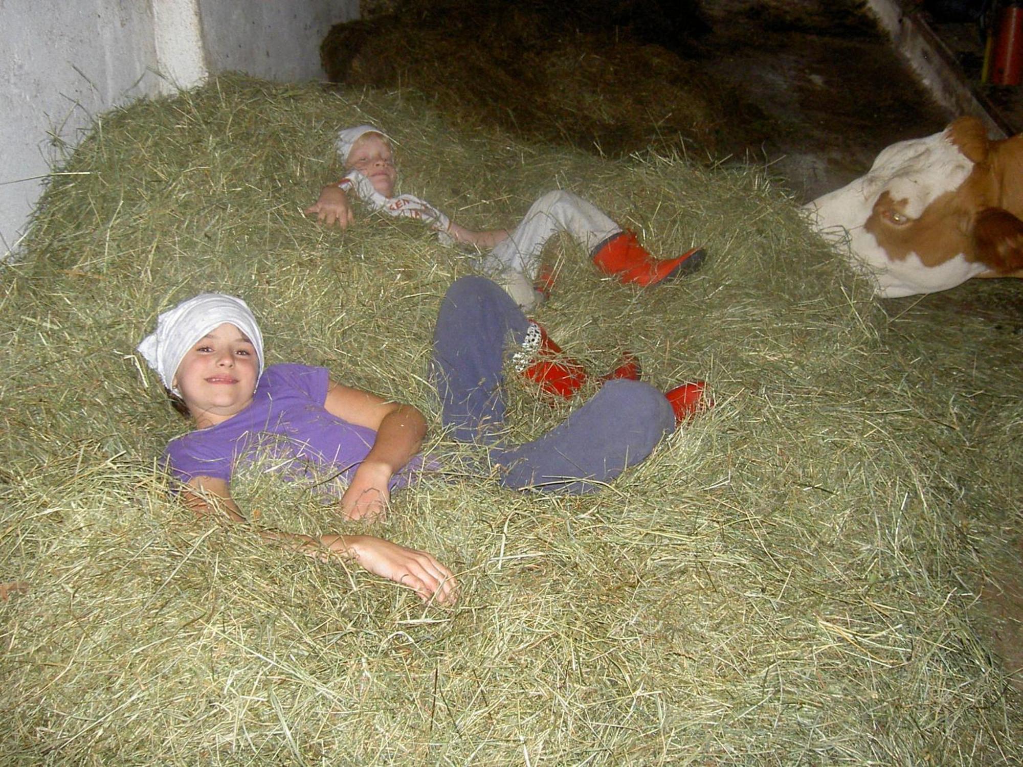 Urlaub Am Bauernhof Wenigeder - Familie Klopf Villa Gutau Kültér fotó