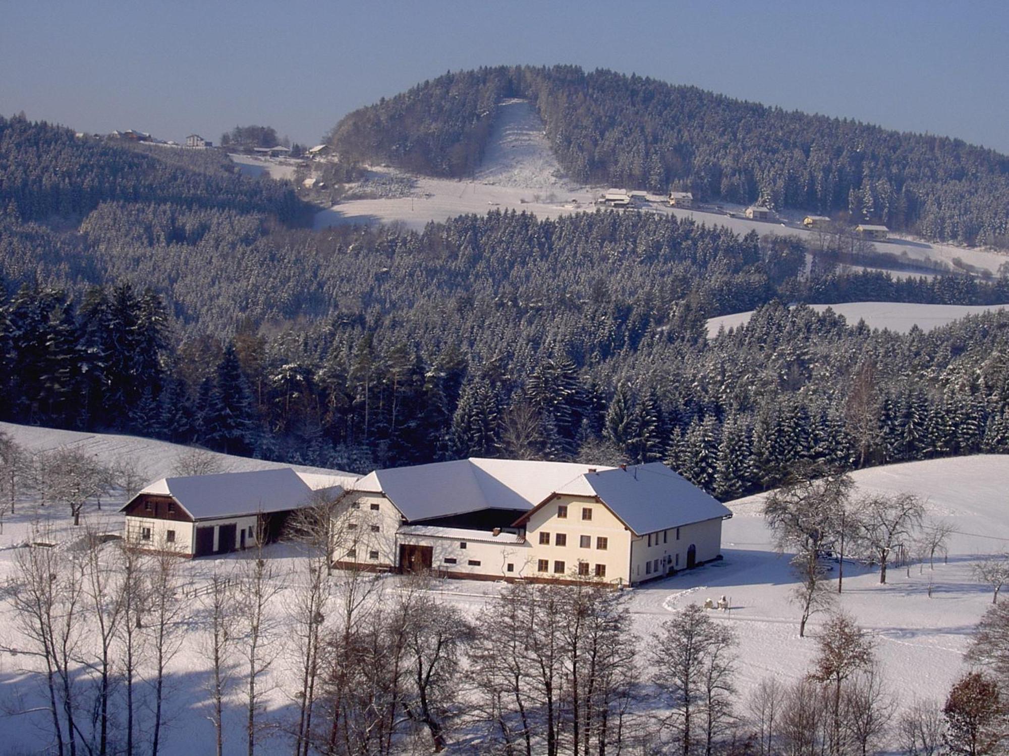 Urlaub Am Bauernhof Wenigeder - Familie Klopf Villa Gutau Kültér fotó